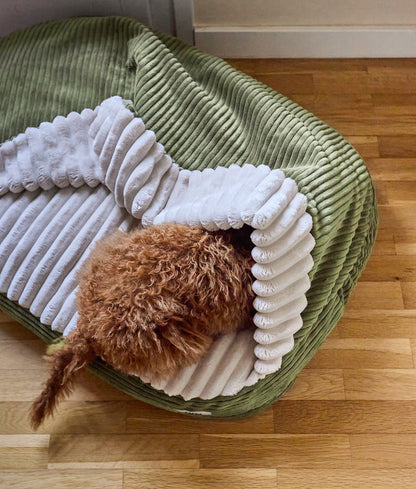 Cafide Cama Con Capucha Para Perro Con Tejido De Pana Verde. Modelo Maso. Talla M (60x80x10 Cm)_1