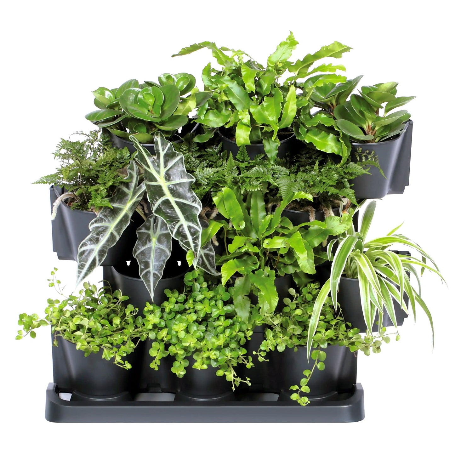 Macetero Vertical Prosperplast Cascade Garden De Plastico En Color Antracita 68,5 (largo) X 19 (ancho) X 54,6 (alto) Cm