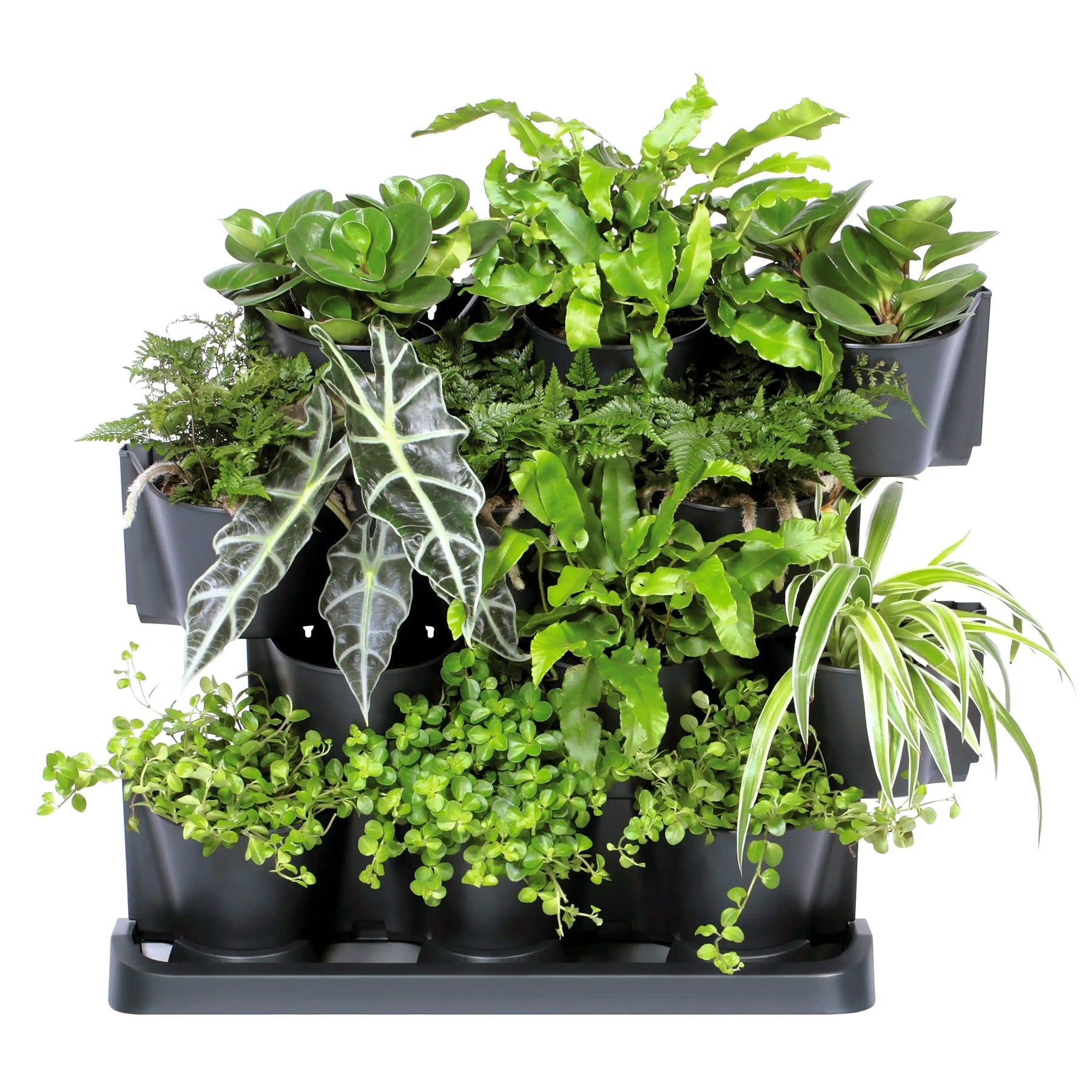 Macetero Vertical Prosperplast Cascade Garden De Plastico En Color Antracita 68,5 (largo) X 19 (ancho) X 54,6 (alto) Cm