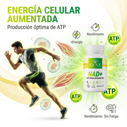 Efne Nad Con Trans-resveratrol: El Activador De Longevidad Para Quienes Viven Al Máximo Después De Los 40_2