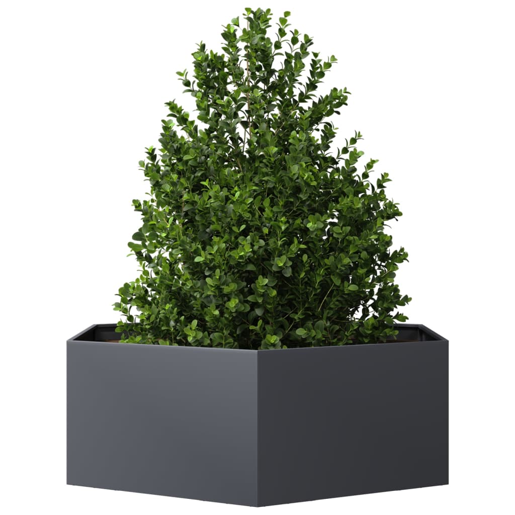 Jardinera Hexagonal Acero Gris Antracita 138x120x45 Cm_2