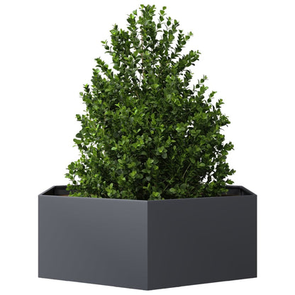 Jardinera Hexagonal Acero Gris Antracita 138x120x45 Cm_2