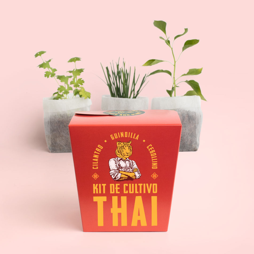 Kit Thai | Cultiva Cilantro, Guindilla Y Cebollino En Casa | Regalo Original Para Amantes De La Cocina Asiática_2