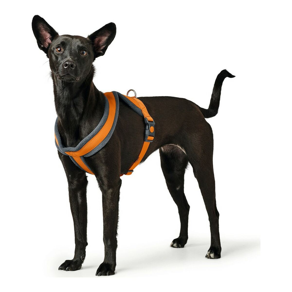 Arnés Para Perros Hunter London Comfort Naranja S/m 52-62 Cm_0