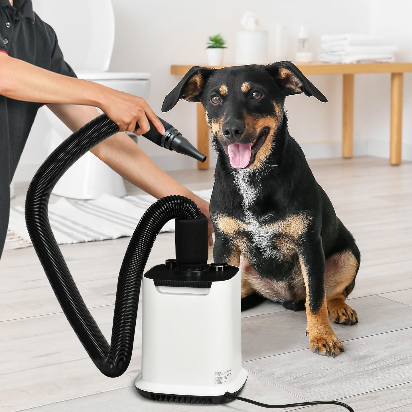 Pawhut Secador De Pelo Para Perros 2000w Manguera 1,2m 4 Boquillas 23x23x26,5 Cm_1