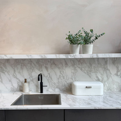 Eucalipto - 4 Pzs - Eucalyptus 'pulverulenta' - Altura 25-40cm - ⌀12cm