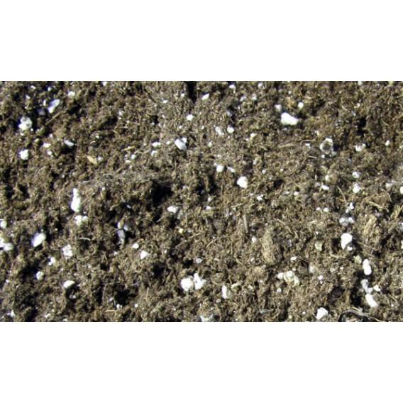 Sustrato para carnívora Sarracenia  1L