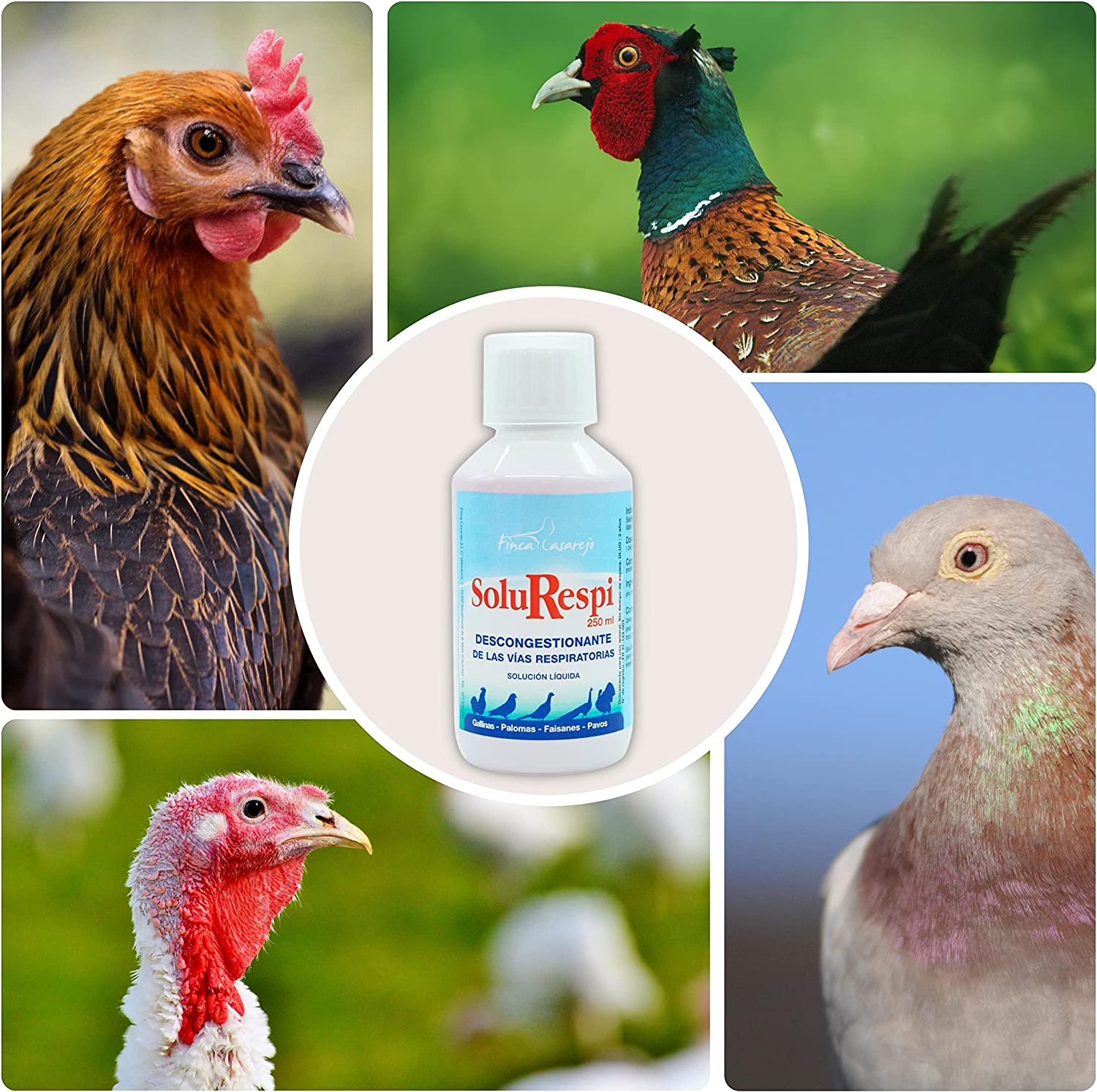SoluRespi 250ml - Solución líquida mentolada para gallinas - Apoyo nutricional en el resfriado de las aves - 100%natural_3