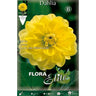 Bulbo Dalia decorativa amarillo puro 1 ud