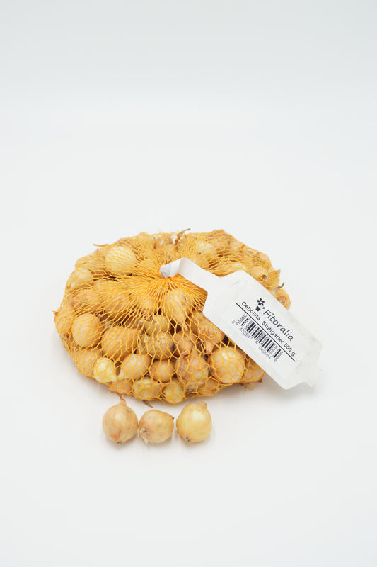 Cebollita Stuttgarter Natural - Malla 500 Gr - Fitoralia