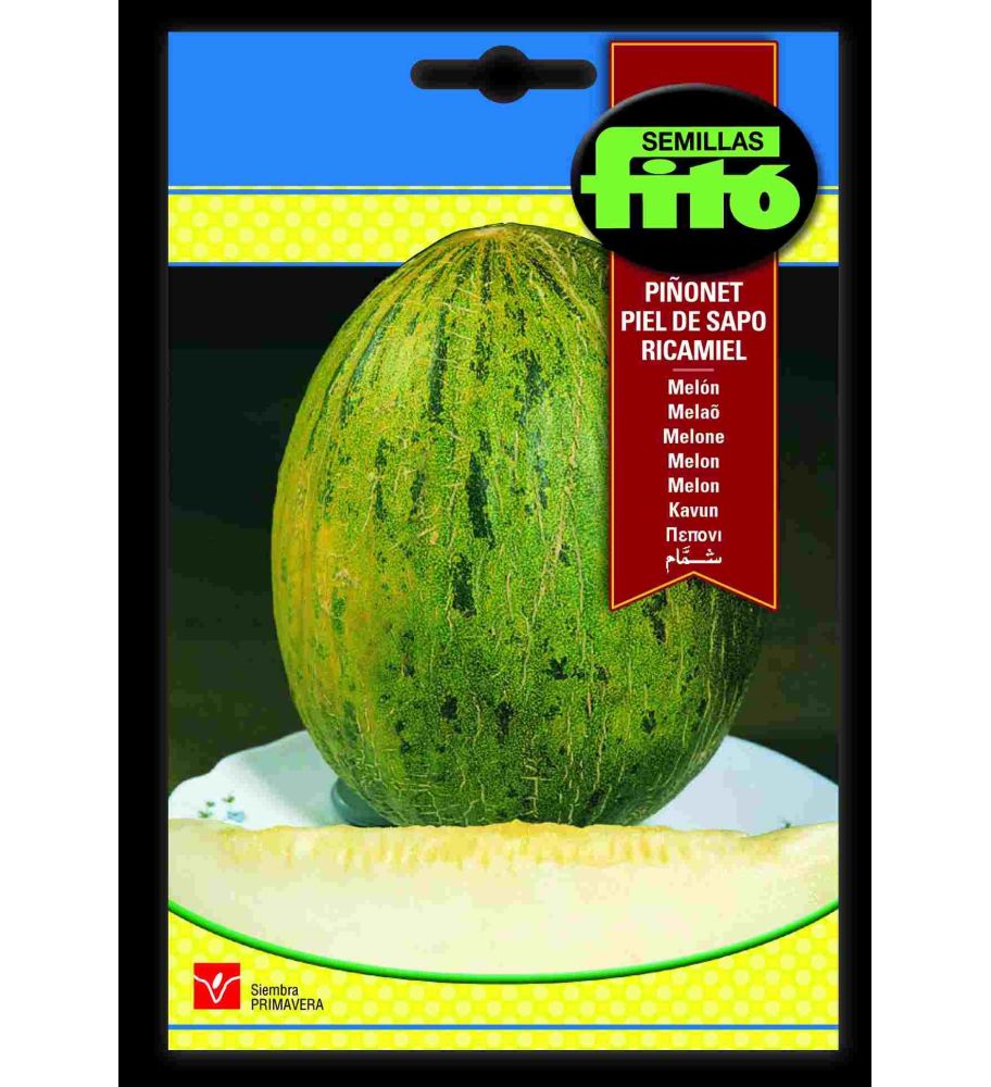 Semilla De Melón Piel De Sapo_0