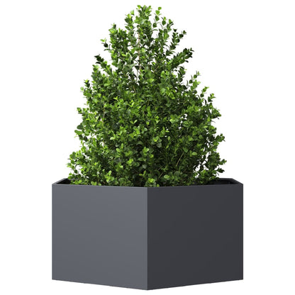 Jardinera Hexagonal De Acero Gris Antracita 104x90x45 Cm_2
