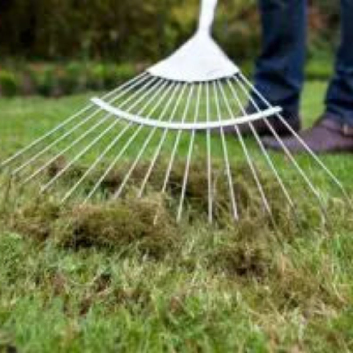 Anti Musgo Y Reverdecedor De Césped Natural Mineravi Cubo 3 Kg. (100 M2) / Granulado_5
