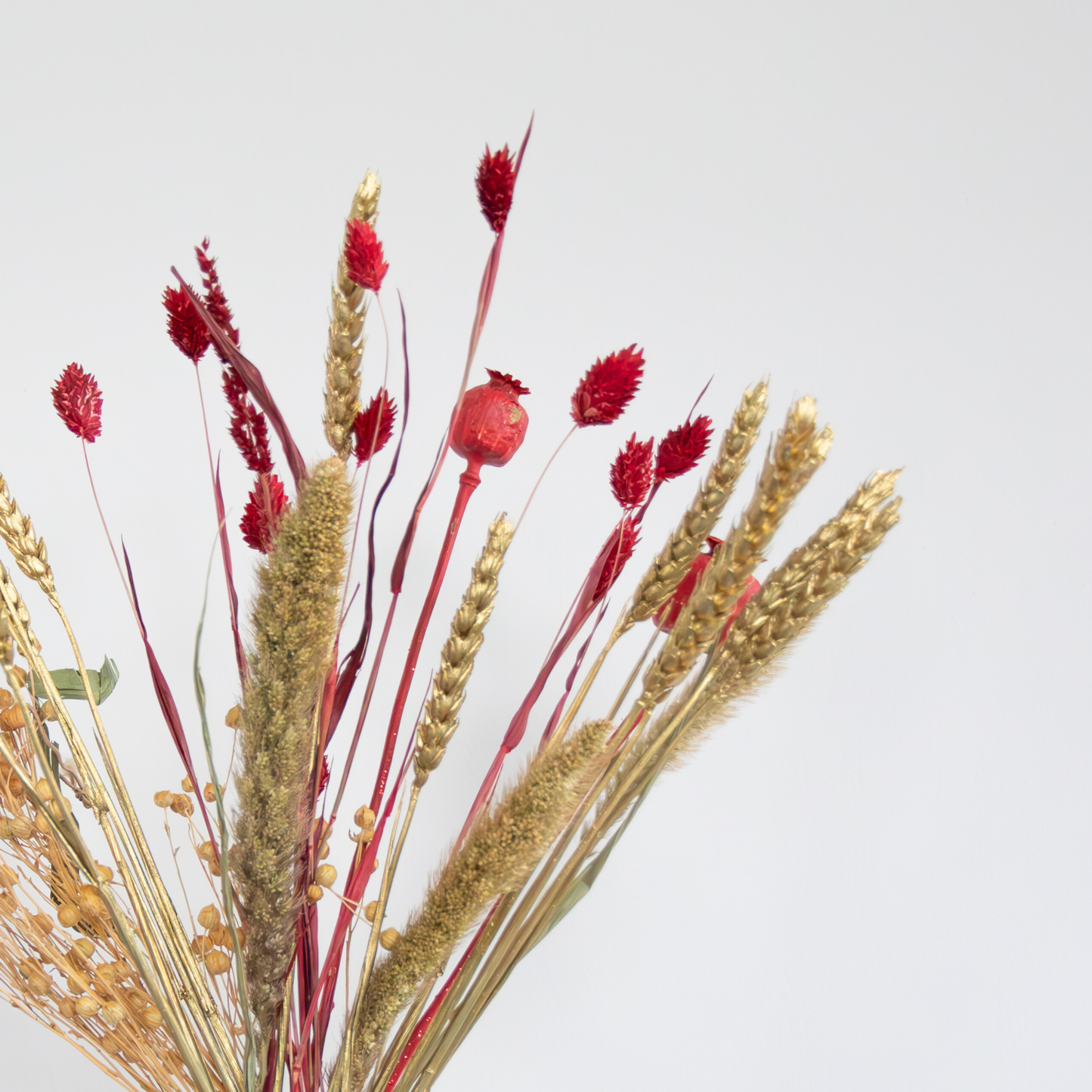 Flores Secas - Ramo 'jingle Bells'