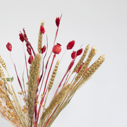 Flores Secas - Ramo 'jingle Bells'