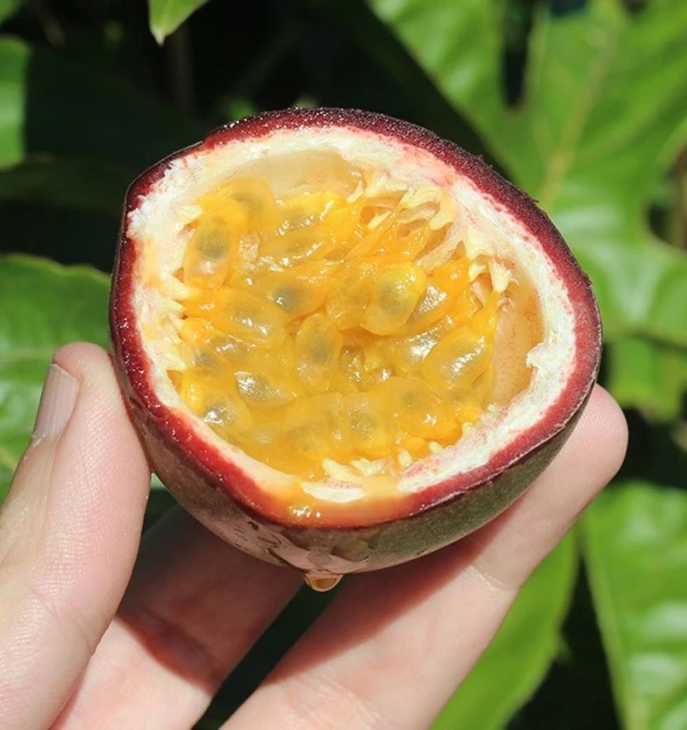 Fruta De La Pasión O Maracuyá - Caja De 4kg_4