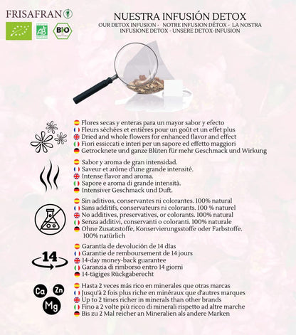 Infusión Depurativa Detox |pirámides | Calidad | Frisafran 15 Uds_3