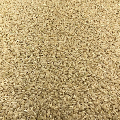 Arroz Integral Ecológico Granel 0,5 Kg_2