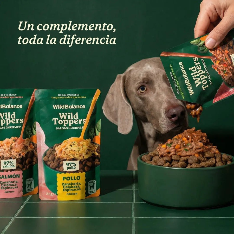 Wild Toppers Salsas Gourmet Pollo Wild Balance 85g