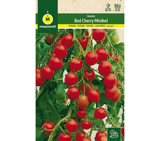 Semillas Tomate Red Cherry (minbel)_0
