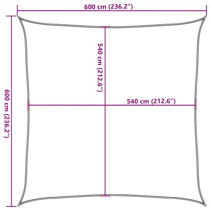 Vidaxl Toldo De Vela Cuadrado Hdpe Azul 160 G/m² 6x6 M_2