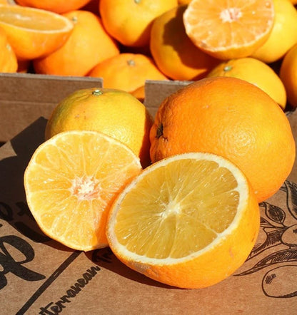 Mix Naranjas Y Mandarinas Valencianas Tropitop 4kg_2