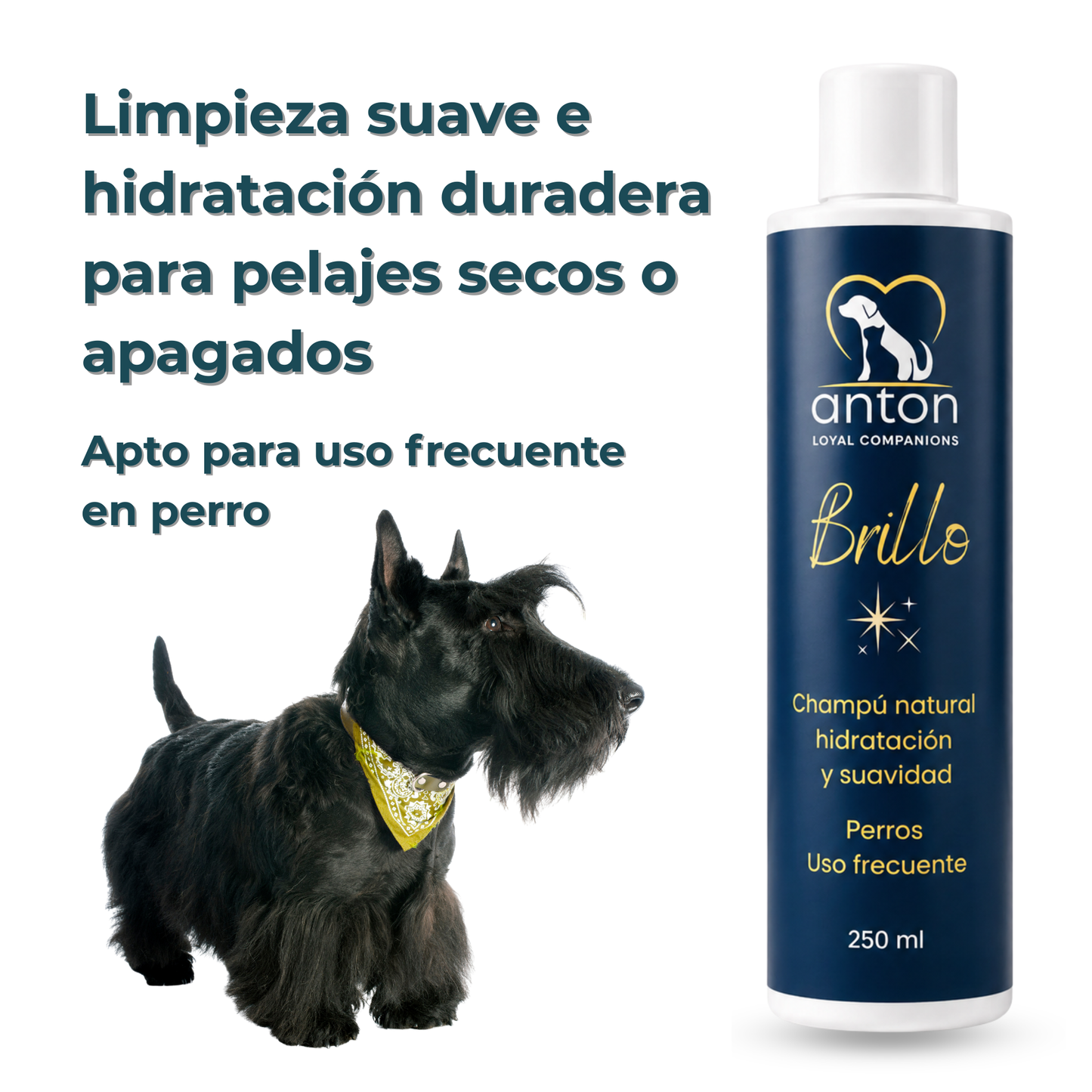 Champú natural para el cuidado del pelaje de perros – Pack 2 x 250 ml_1
