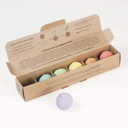 Pack 6 Bombas de Semillas de Flores Silvestres – Kit Jardín Fácil, Regalo Original - Resetea_4