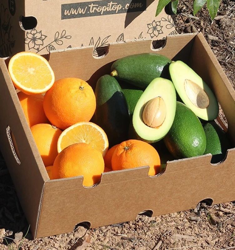 Caja 4kg Mix Aguacate Bacon Y Naranjas Valencianas