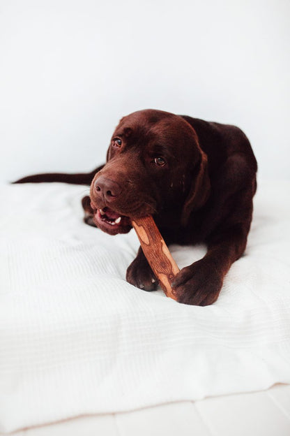 Bimorbox Mediana · Pack Snacks Y Juguetes Naturales Para Perros.