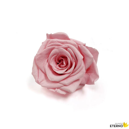 Mundo Eterno Rosa En Cúpula Rosa 12x20cm