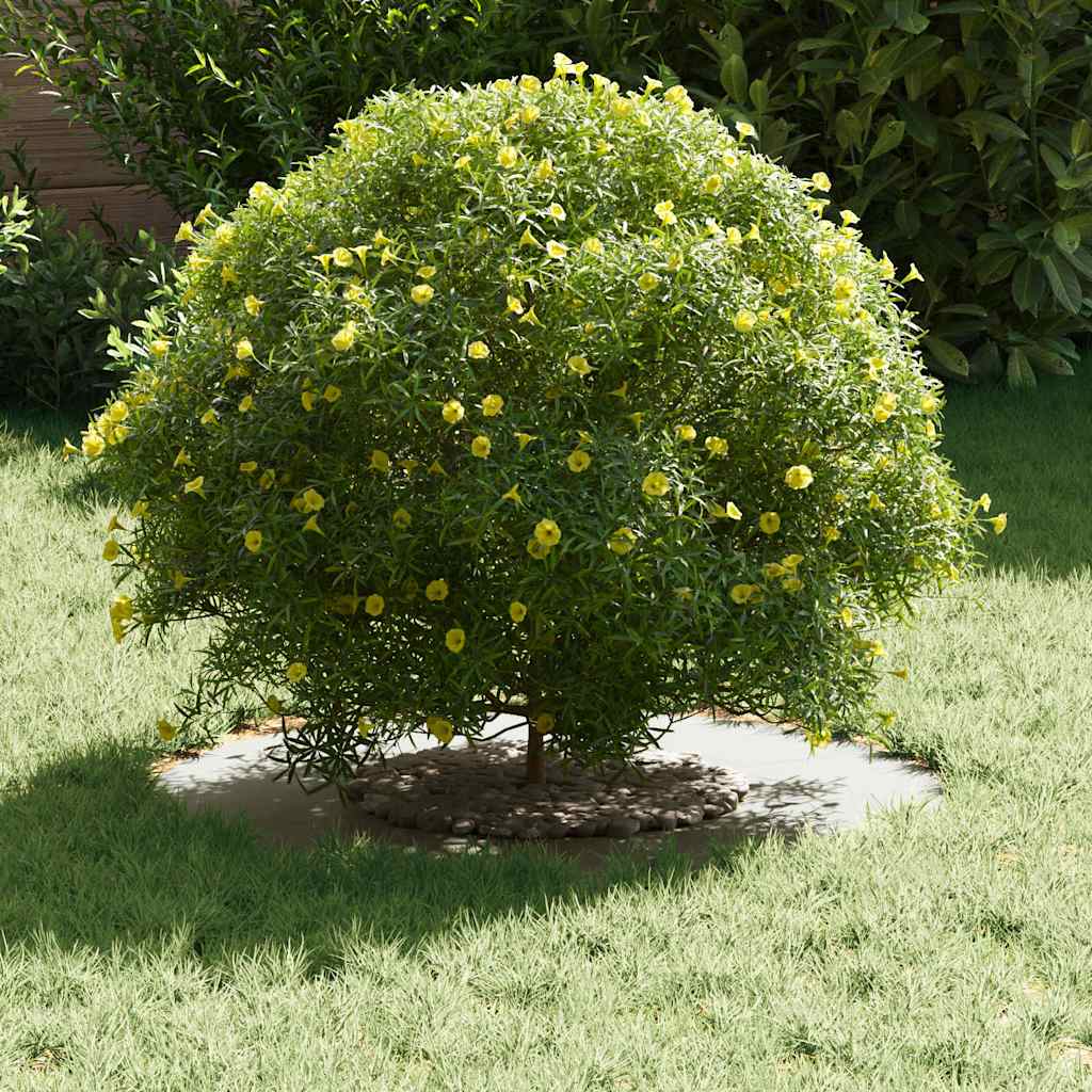 Adecuado Para Anillos De Árbol Plano 5 Uds. Ø30/60 Cm Acero_2