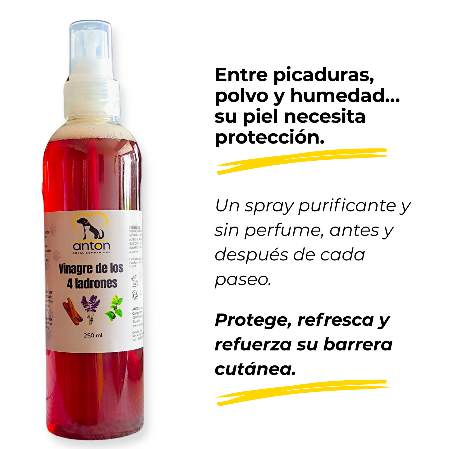 Pack Bienestar Verano – Serenidad, Digestión Y Protección Natural_3