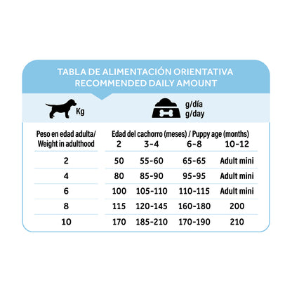 Dibaq Natural Moments 5 Star Pavo Y Pollo Cachorro Razas Pequeñas 2kg_5