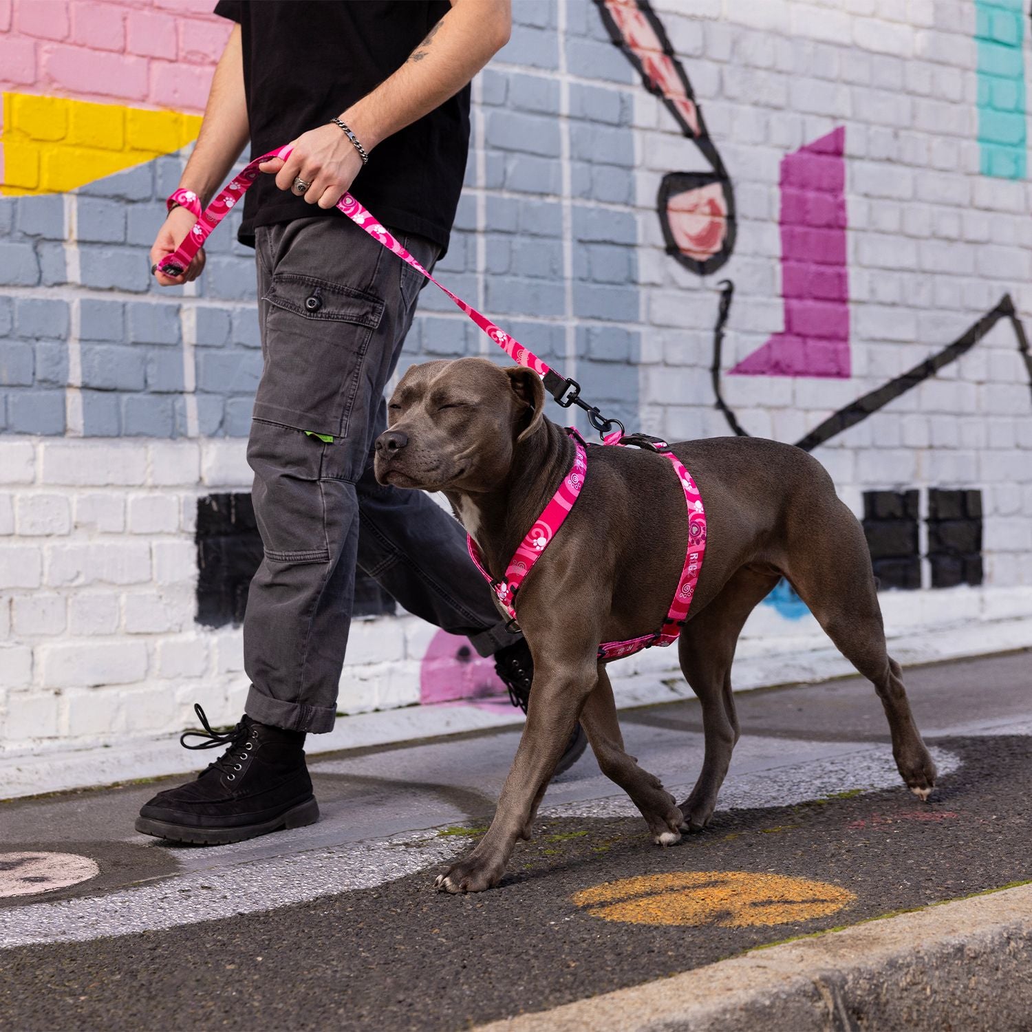 Arnés Para Perro, Modelo Fusion De Rogz, Estampado Huellas Rosas.