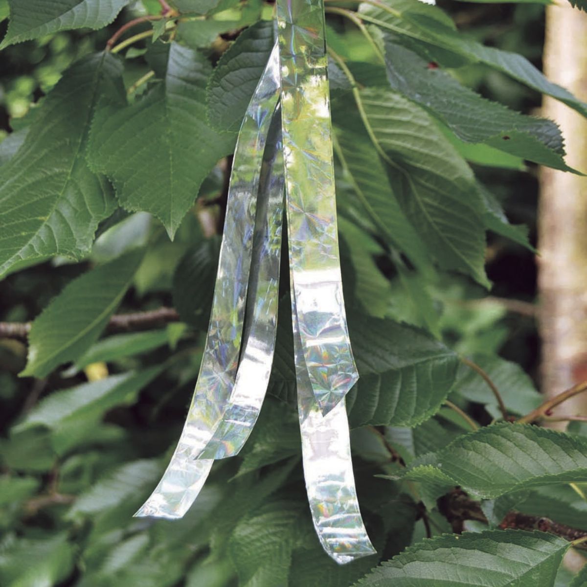 Cinta Espantapájaros visual Visual Repuls Nortene