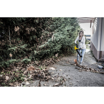 Soplador eléctrico GARLAND GAS 409E-V20