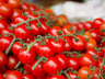 Semillas De Tomate Cherry Red Ecológicas