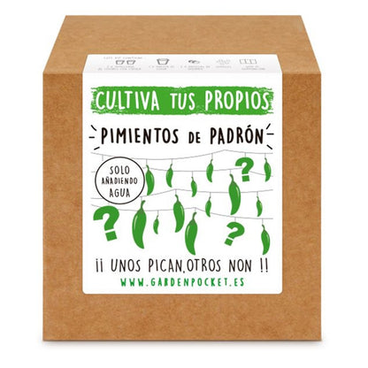 Kit de autocultivo Pimientos de Padrón Planeta Huerto