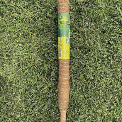Tutor De Coco Stake Coco 45 Mm 0,6 M Nortene_4