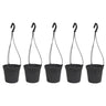 5 Macetas Cilíndricas Ø 10 Cm Con Ganchos, De Polipropileno Antracita