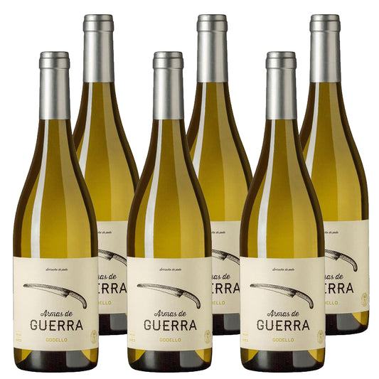 Vino Blanco Godello. Do Bierzo. Caja De 6 Botellas_0
