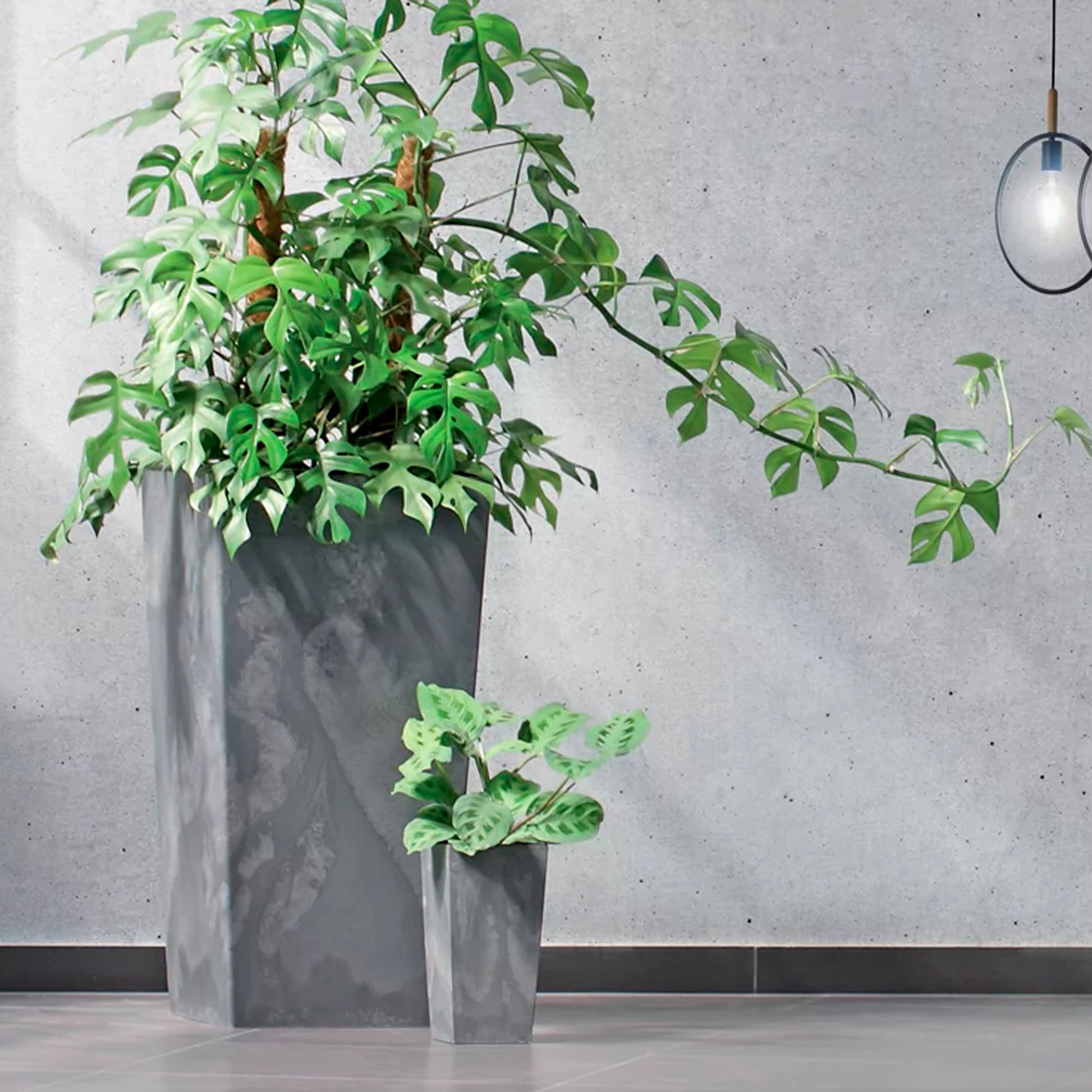 Maceta Urbi Square Beton Effect 2l., Dimensiones (mm) 126x126x200, Color Marengo