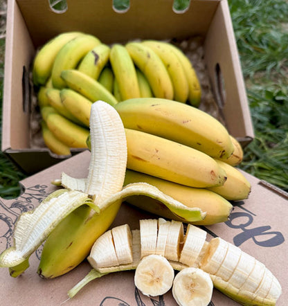 Caja De Plátanos De Canarias Tropitop Caja De 15kg_3