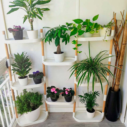 Soporte Modular Citysens De 8 Bandejas Blanco, Con 4 Plantas De Regalo_3