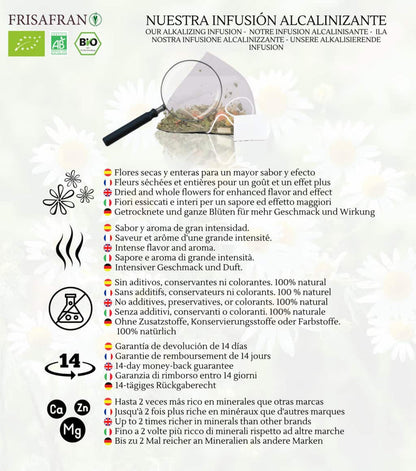 Infusión Bienestar Alcalino Pirámides Ecológica | Frisafran 60 Uds_4