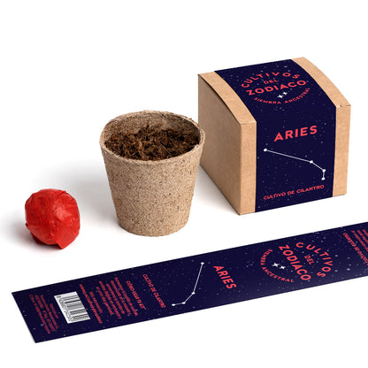 Cultivos Del Zodiaco – Aries | Kit De Cultivo Con Semillas De Cilantro_2