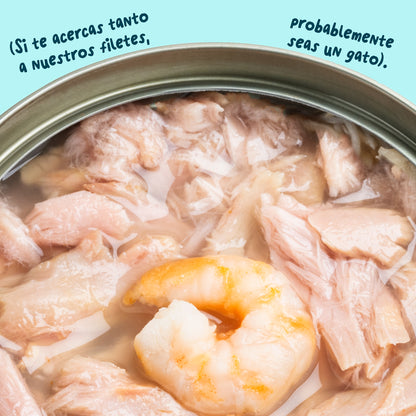 Filetes de atún con gambas para gatos Edgard & Cooper 70 g