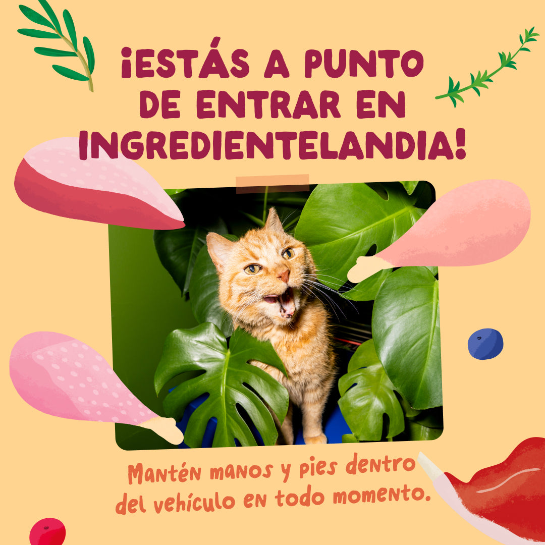 Sobres de comida húmeda para gatos Festines de la Granja Selección en Salsa | Edgard & Cooper 85 g