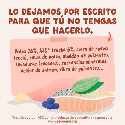 Sobres de comida húmeda Trucha & Pollo en Salsa para Gatos Adultos | Edgard & Cooper 85 g